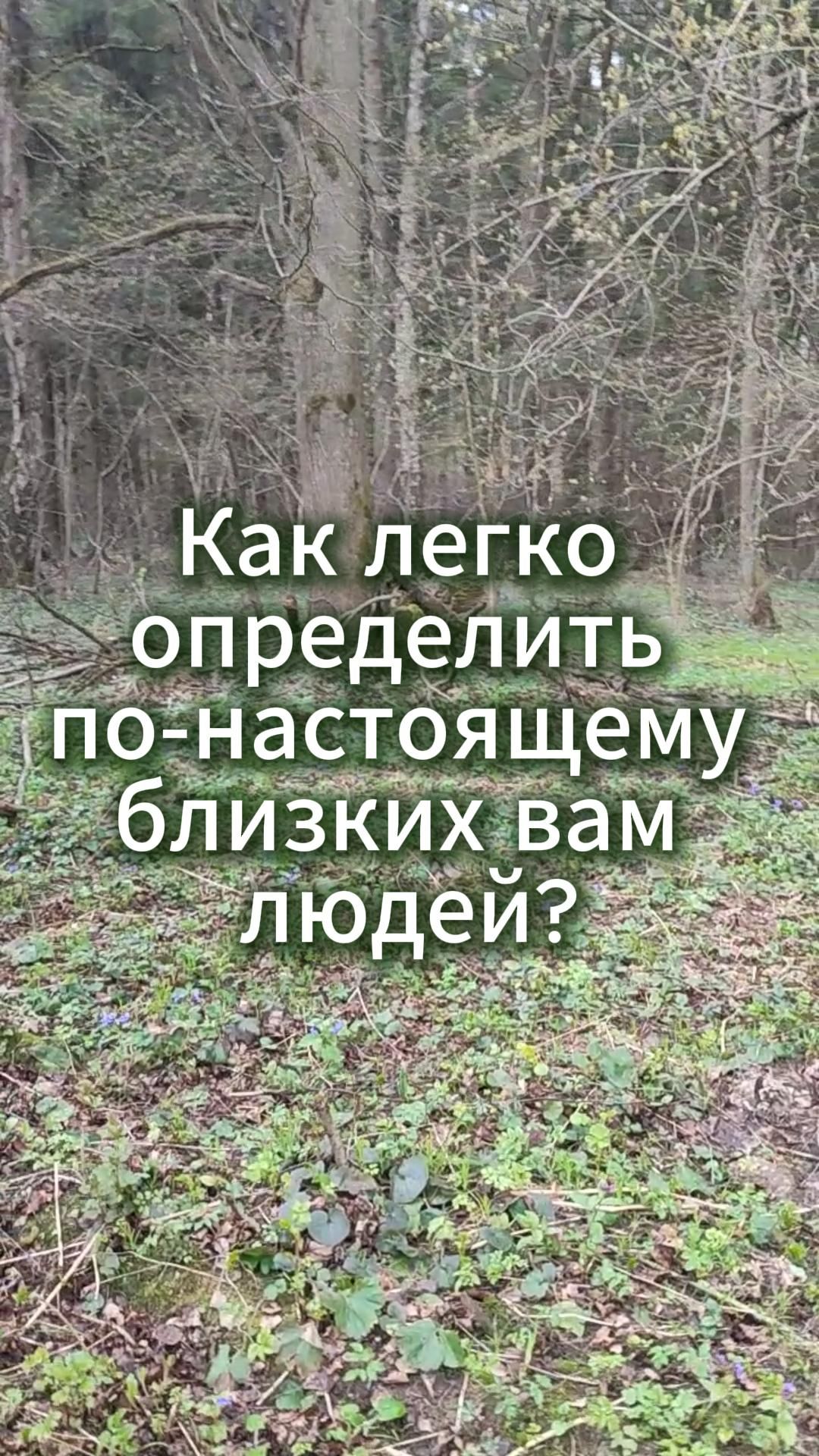 Как легко определить по-настоящему близких вам людей?
