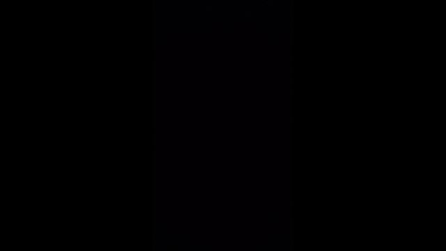 3102.mp4