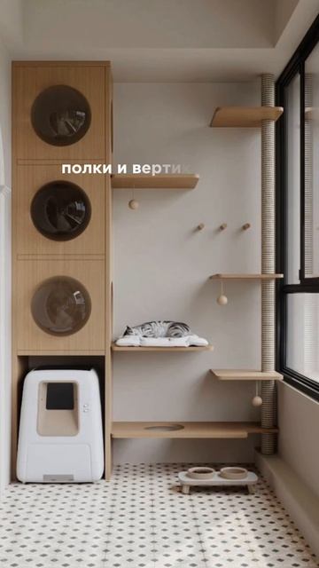 🐾 Дизайн с учётом кота: уют и порядок в доме