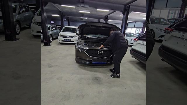 Все автомобили в доступе для любых проверок.