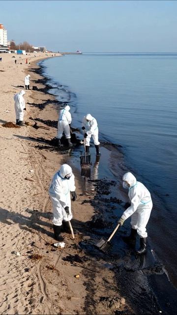 Очистка пляжа от разлива: герои природы на борьбе с загрязнением #экология #разлив #очистка