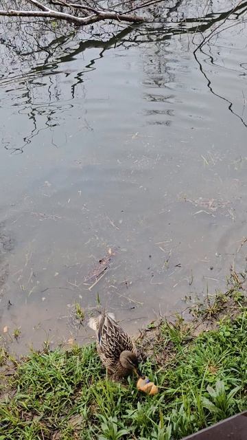 1000076261.mp4