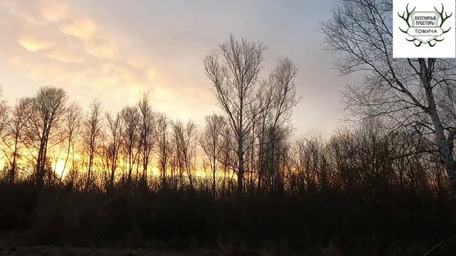 Открытие весенней охоты по вальдшнепу 2026🌲💣💥🤙🏻🔥 Норма взята😱🤟🏻✊