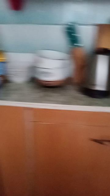 VID_20260501_163300.mp4