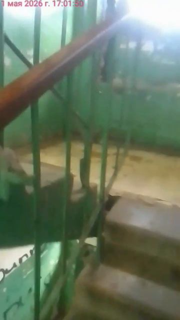 Вот в таком общежитие я живу, оно уже аварийно...