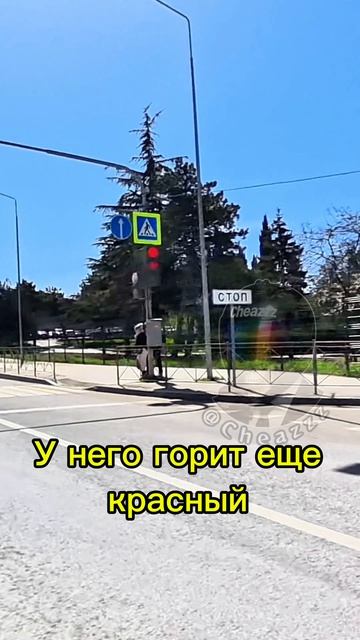 😡 Сколько трагедий уже было из-за таких пешеходов …