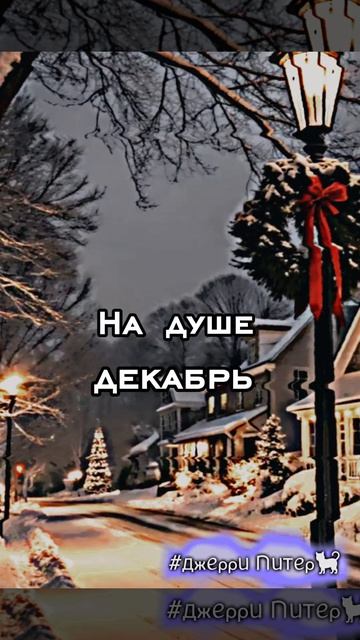 уже май...#ДжерриПитер #кот #р_е_к_и