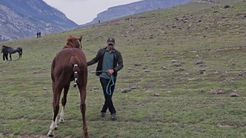 До скачек в селе Ансалта.2.05.2026 год