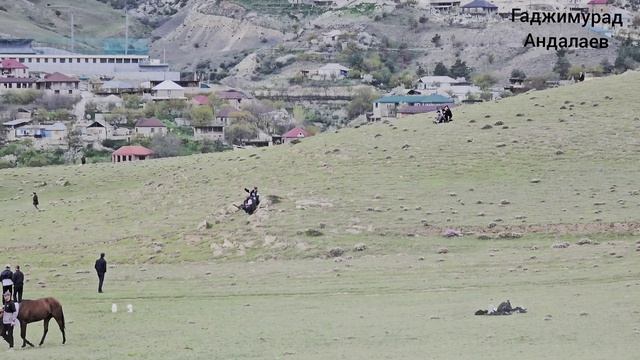 Скачки в с. Ансалта. На 9 кругов. 2.05.2026 год