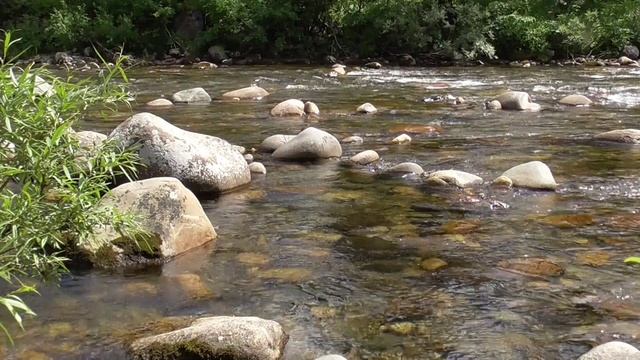 Горная река несёт с водой очищающую энергию. 5.07.2022.