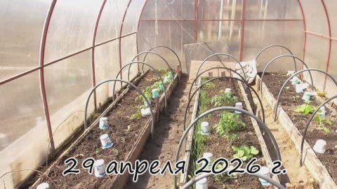 Дача. Конец апреля 2026 г. г. Тюмень