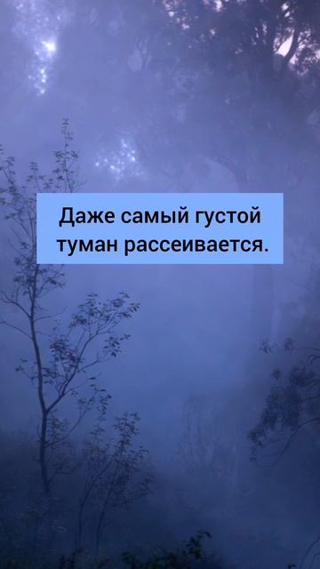 Даже самый густой туман рассеивается