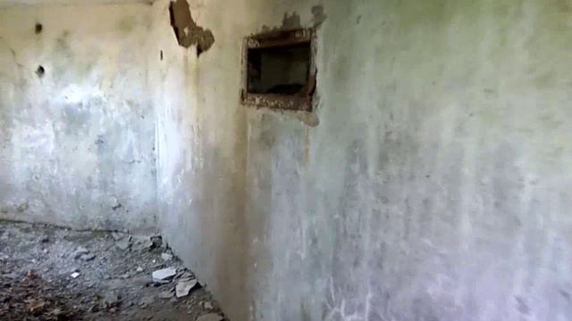 СТАЛКЕР  21.04.2021.