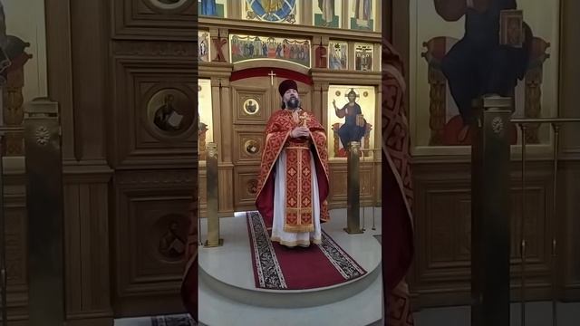 Неделя о расслабленном. О человеческом эгоизме, осуждении и благодати. Проповедь о. Андрея. 3.5.26