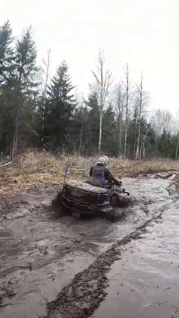 #segway # #квадроцикл #offroad #mud #quadrodrive
