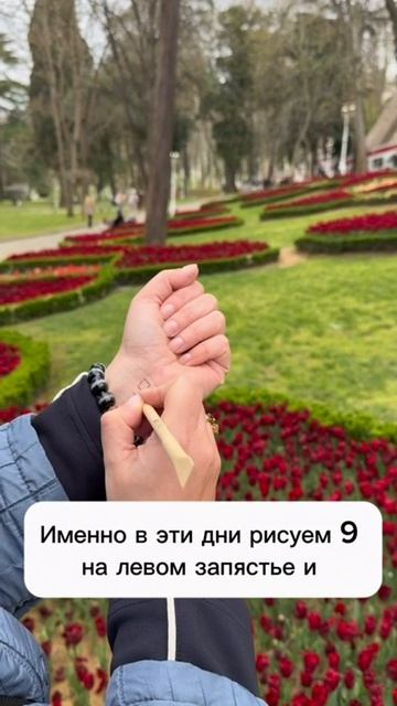 B22589906d8d814ac145c853b677391e