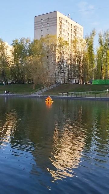 Беловежский пруд