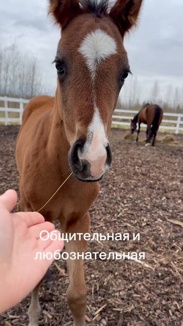 У нас пополнение 🎀