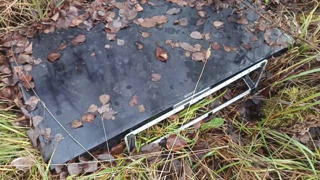 находки на свалке