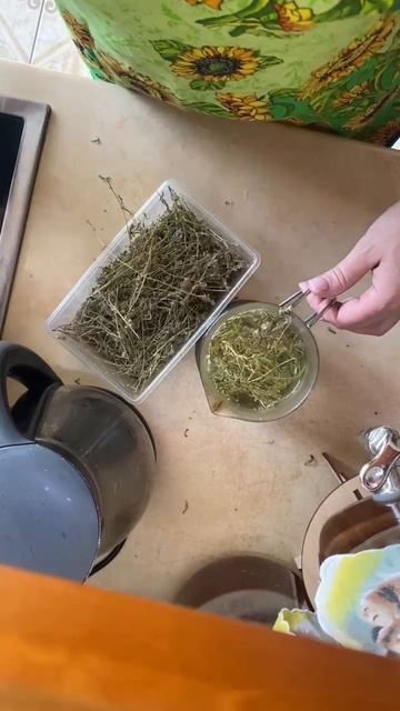 ЧАЙ ИЗ ЧАБРЕЦА, СОБРАННЫЙ СВОИМИ РУКАМИ, НАПОЛНЯЕТ НАСТРОЕНИЕМ ВСЕХ В СЕМЬЕ.