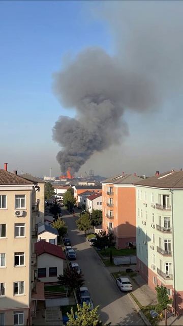 Жизнь в дыму: когда надежда уходит в пожар #пожар #вредзабиме #страхи