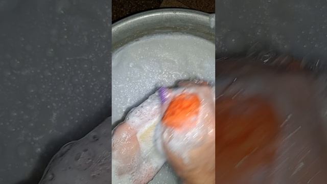 1242.mp4