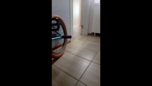 Эдит нового поколения)