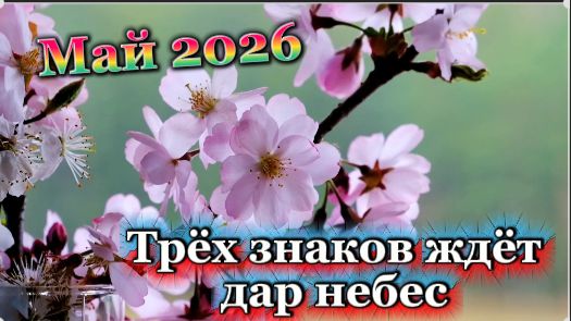 Жизнь трёх знаков в мае 2026 года круто изменится!