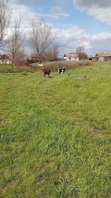 Май