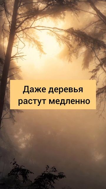 Don't rush. Even trees grow slowly