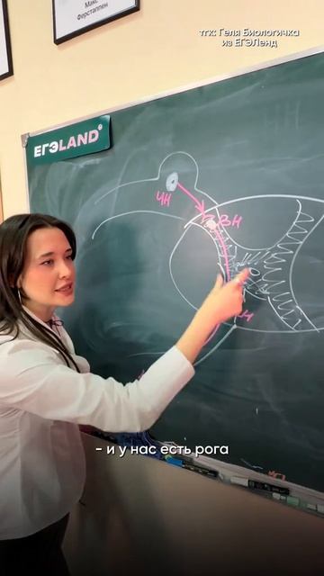 Забирай ПОЛЕЗНЫЕ ФАЙЛЫ в моем тгк в шапке канала!