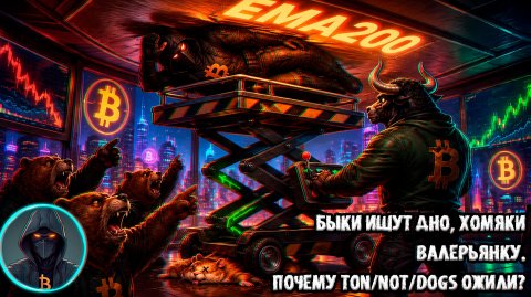 Биткоин - ПАДЕНИЕ ЕЩЁ БУДЕТ Коррекция, ГЭПы памп TON, NOT и DOGS ожили