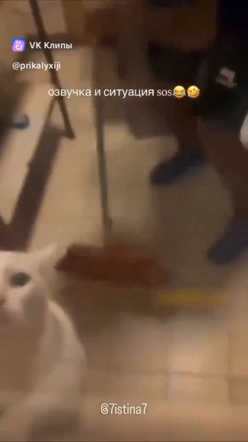 поддержи подпиской 🫶