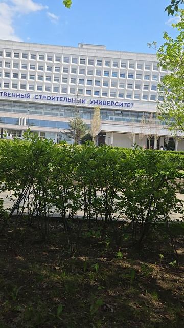 МГСУ - правильный вуз