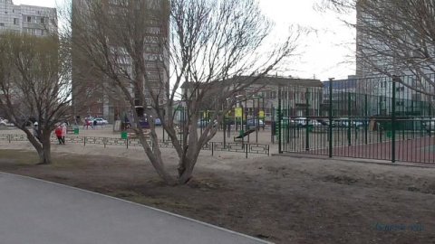 Пруд Южный. г. Тюмень. Апрель 2019 г.