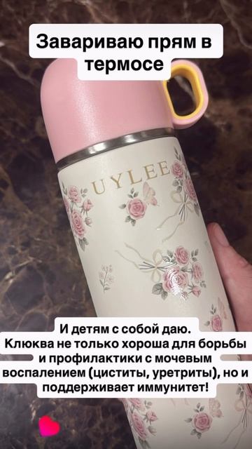 Нечайный чай при воспалении мочевой системы