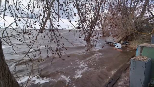 п.г.т.ВАСИЛЬЕВО-29...04..2026