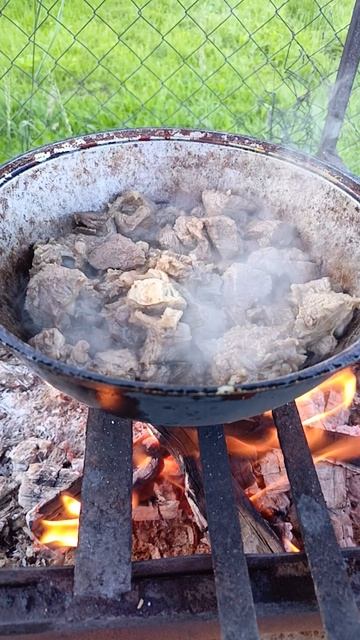 Сезон вкусностей на костре открыт.