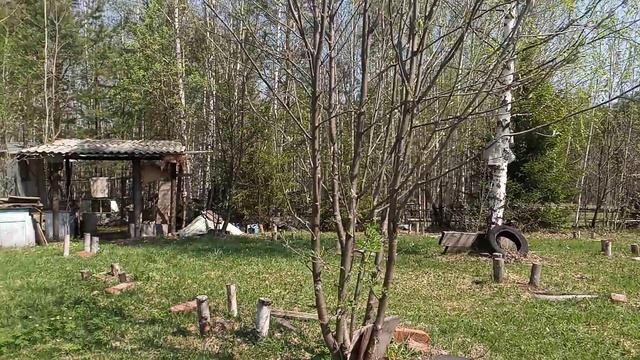 Первый  переезд на  лесную пасеку .