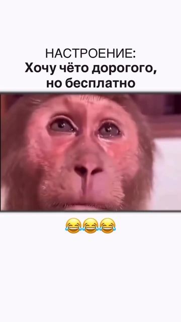 Причём постоянно ?