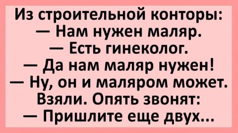 Из строительной конторы: Нам нужен маляр. Есть гинеколог... | Анекдоты смешные | Юмор