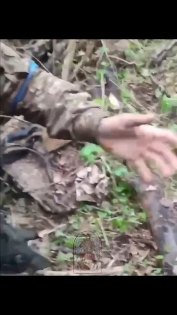КОЛУМБИЙСКИЙ НАЕМНИК ПОПАЛ В ПЛЕН.