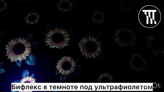 Бифлекс матовый принт Подсолнухи на черном (флюр)