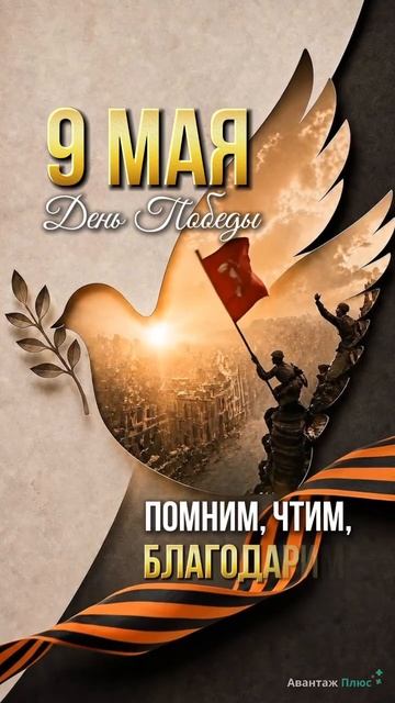 С Днём Победы!  Мира, добра и чистого неба над головой.  С праздником, друзья! 🕊