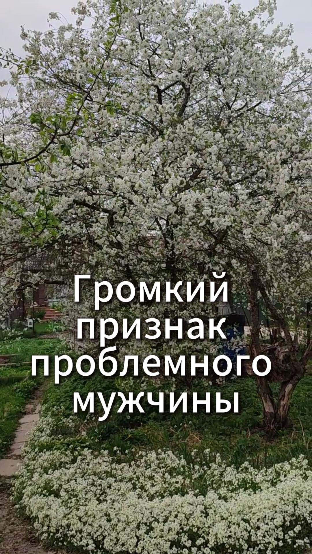 Громкий признак проблемного мужчины