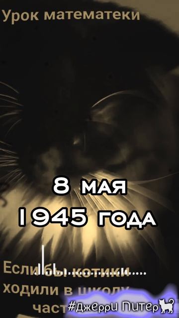 завтра инета не будет,поэтому выложила сегодня #ДжерриПитер #кот #р_е_к_и