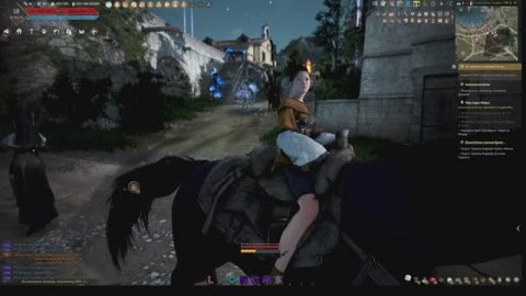 Black Desert