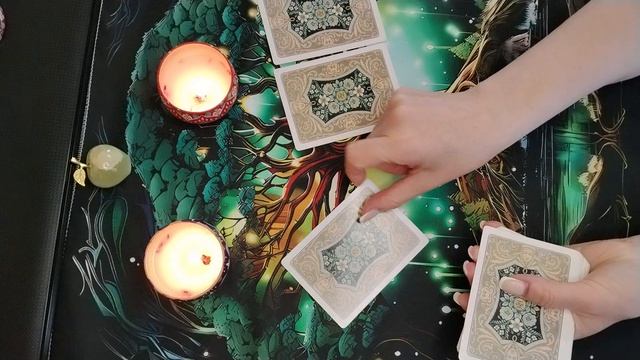 498.mp4