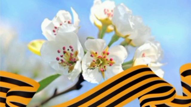 Congratulatory Statements To Veterans And Participants Of The Great Patriotic War On Victory Day