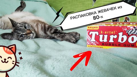 🔥✨😸Аксель распаковывает жевачки из 80-х⭐️😼😎